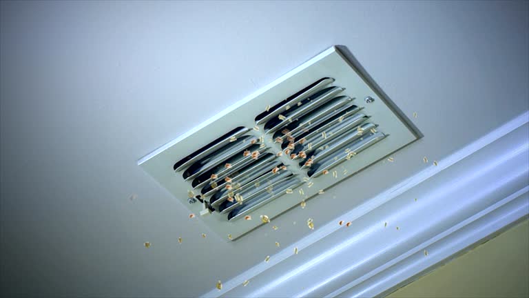 Best Air Duct Cleaning Company Near Me  in Corrales, NM