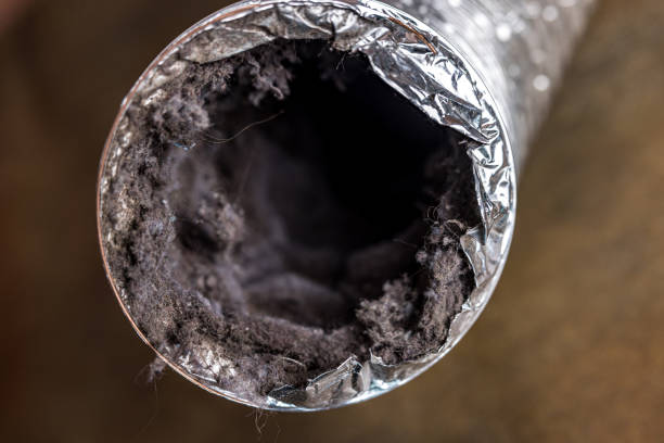 Best Air Duct Cleaning Near Me  in Corrales, NM