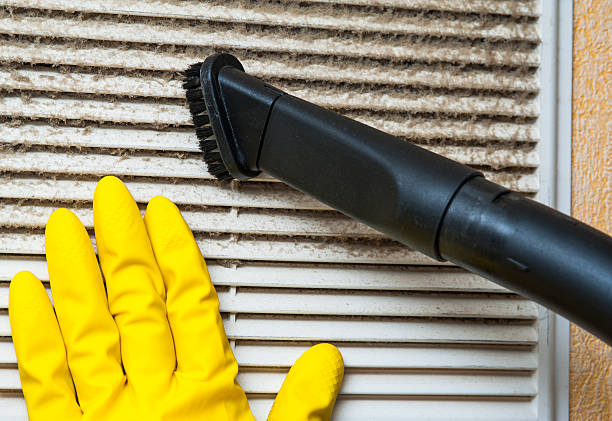 Best Affordable Duct Cleaning Services  in Corrales, NM